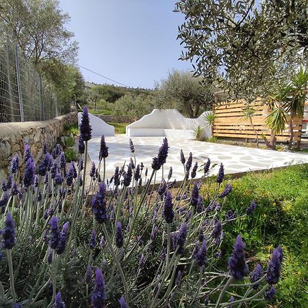 Il Canto Delle Cicale Agía Marína Exterior foto
